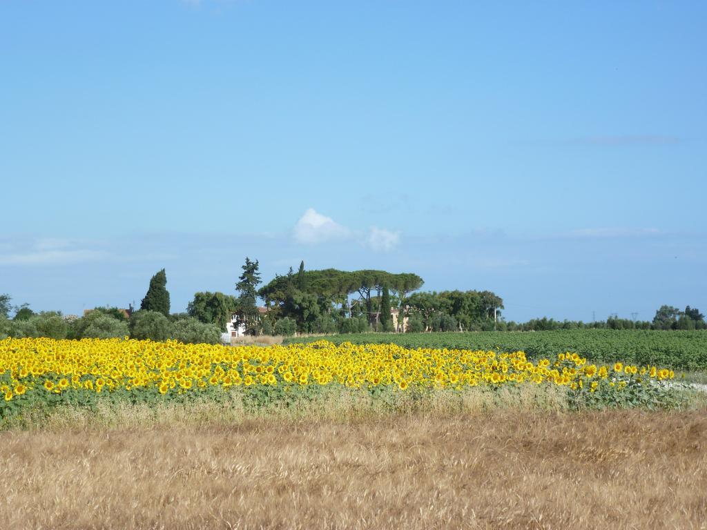 Casa Vacanze Vignarca - Localita Perelli Riotorto Εξωτερικό φωτογραφία